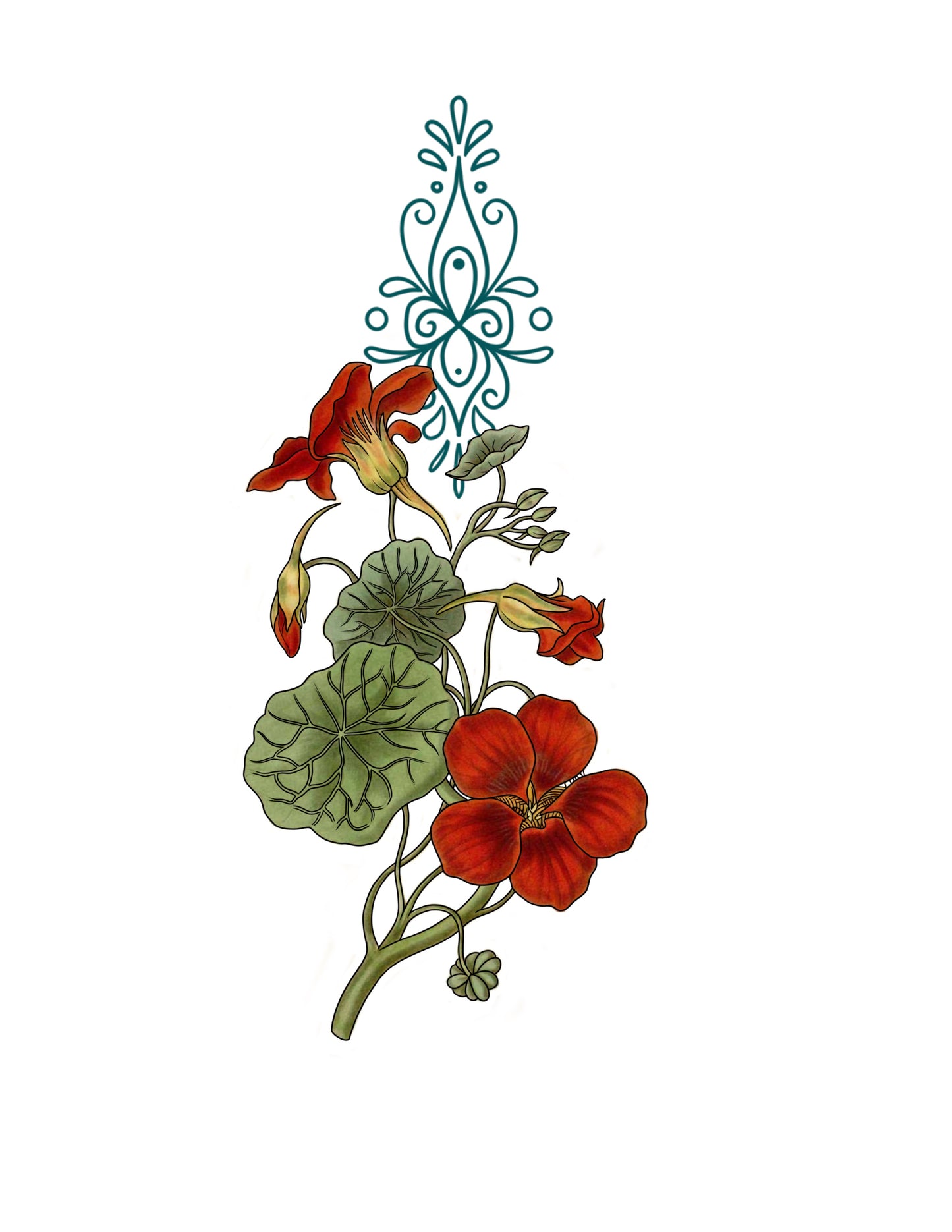STEPHEN : Red: Nasturtium Ornamental : $750+