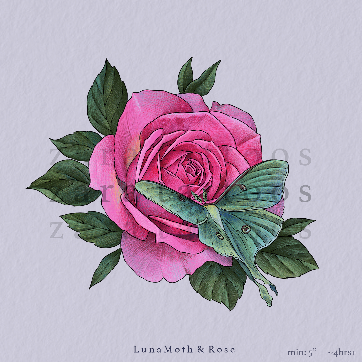 ZARA : LunaMoth & Rose - 4 Hours+