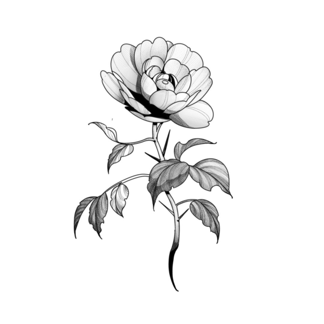 EVER : Peony : $300