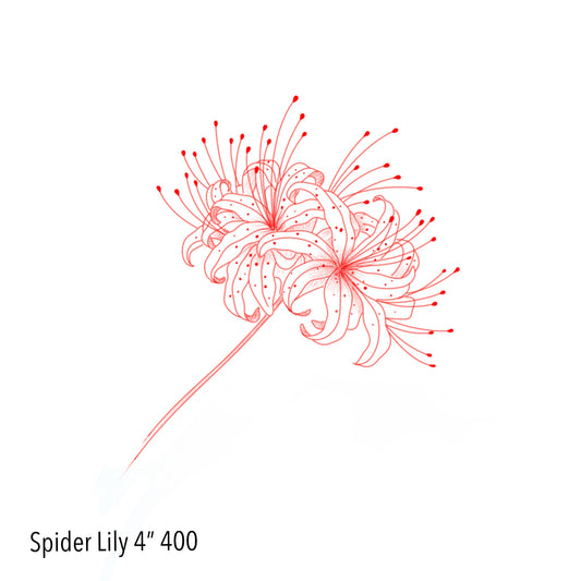 VICTORIA : Spider Lily : $400