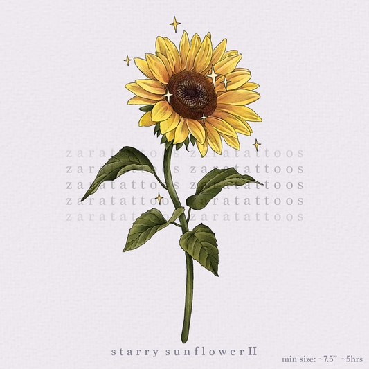 ZARA :  Starry Sunflower II - 5 Hours