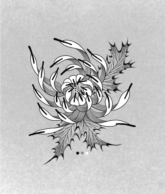 SANTIAGO : White Chrysanthemum : $1100