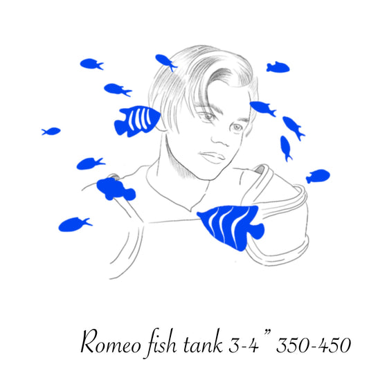 VICTORIA : Romeo Fish Tank : $350-$450