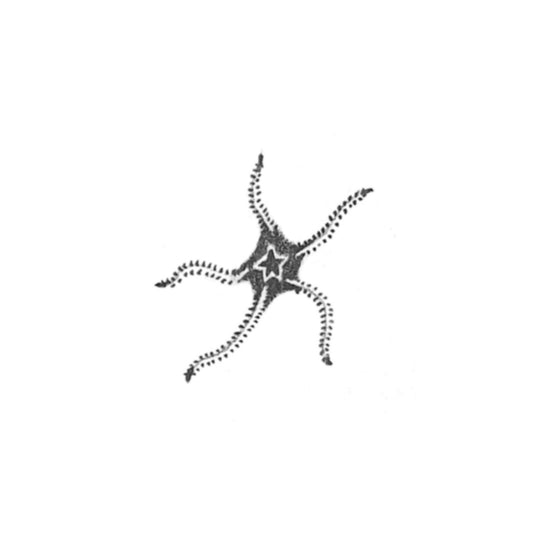 DIANA : Repeatable Starfish: $250+