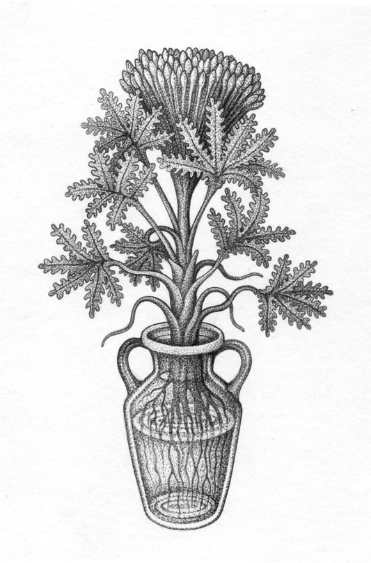 LAYNE : Repeating Voynich Vase : $650