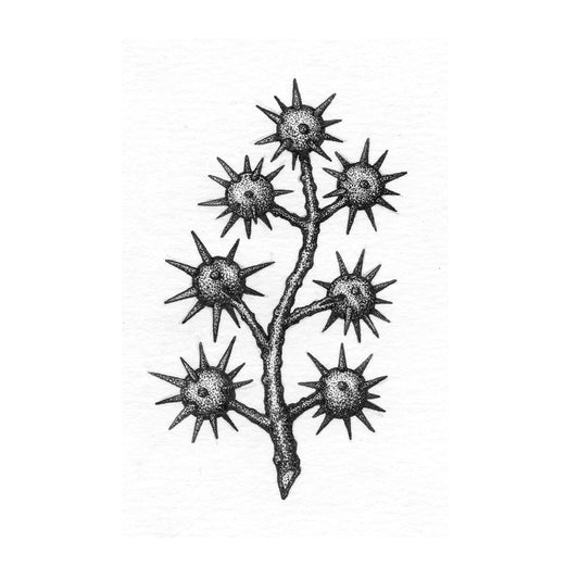 LAYNE: Repeating Spiky Voynich Plant : $375