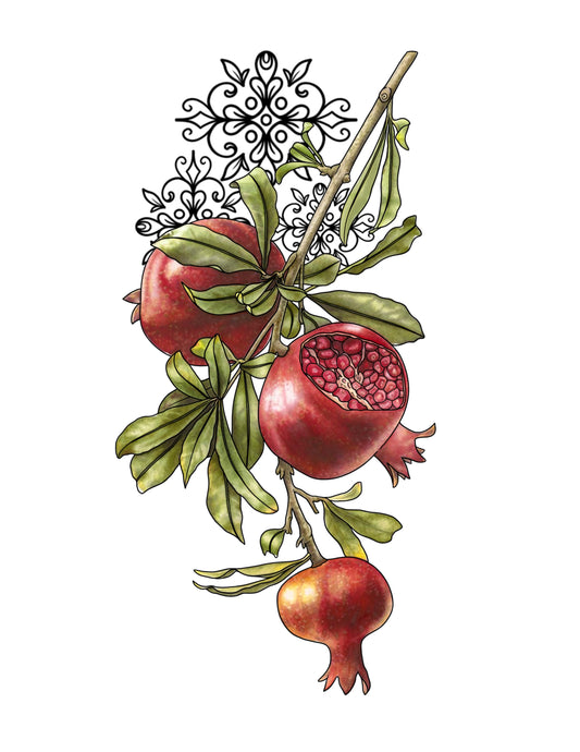 STEPHEN : Pomegranate Ornamental : $1500+