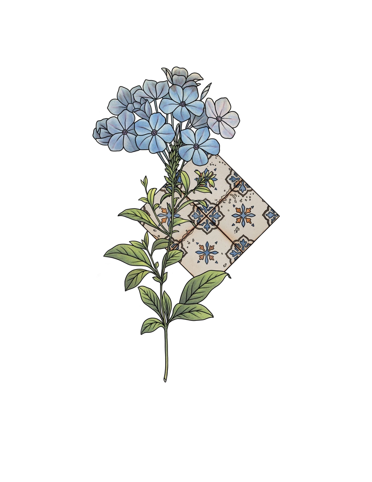 STEPHEN : Blue: Phlox with Tile : $1000+