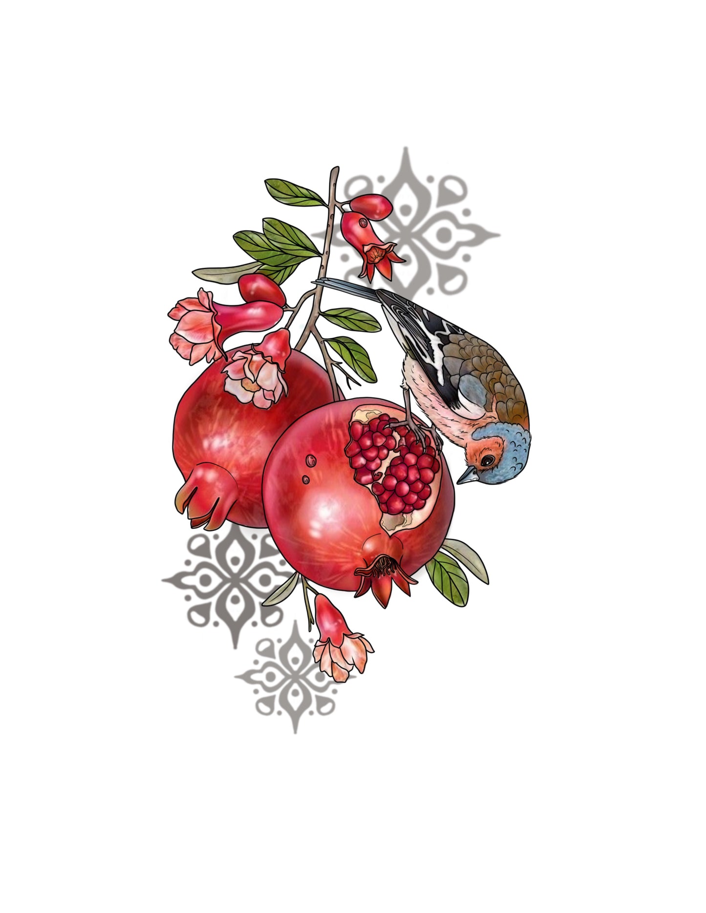 STEPHEN : Eastern Bluebird with Pomegranates : $1500+