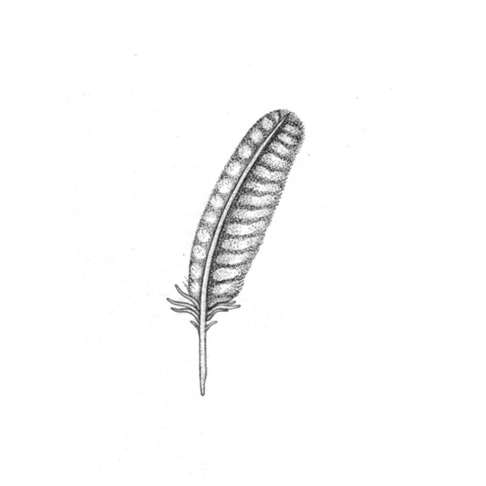 LAYNE : Repeating Eagle Feather : $200