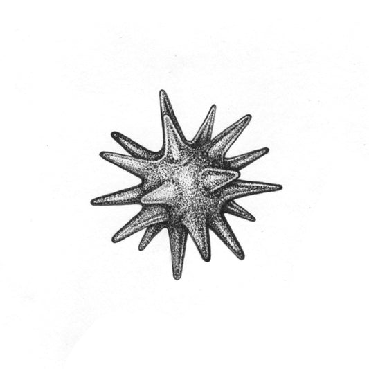 LAYNE : Repeating Spiked Cell : $200