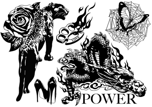 CAIN : Flash Sheet V