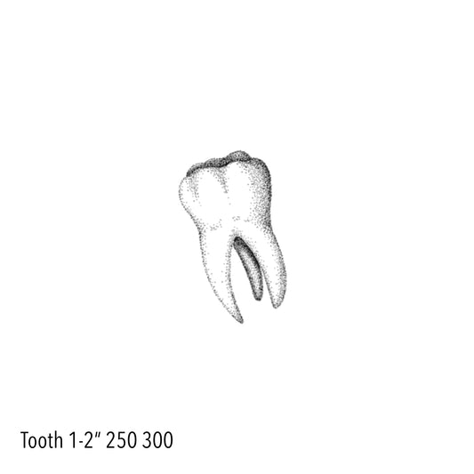 VICTORIA : Tooth : $250 - $300