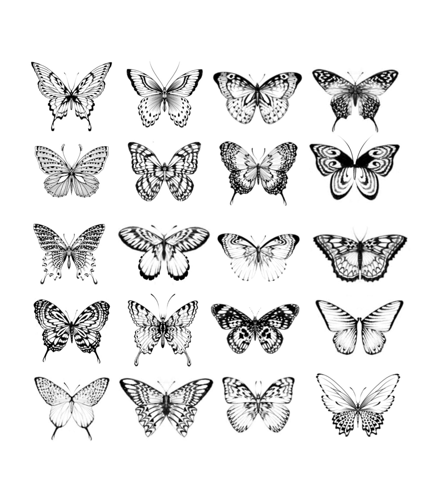 SANTIAGO : Butterflies : $250 Each