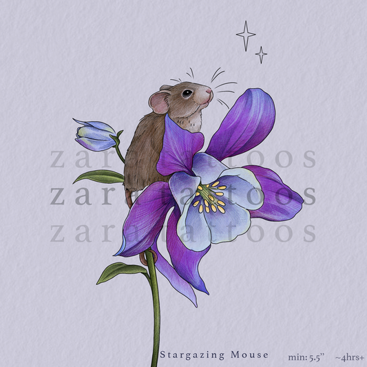 ZARA : Stargazing Mouse - 4 Hours+