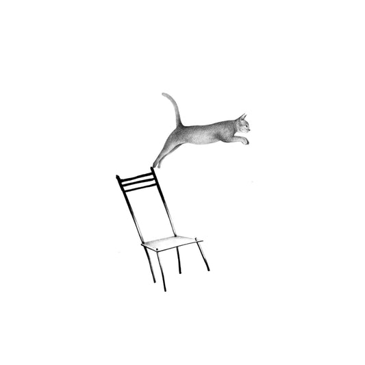 RIVER : Cat and Chair : $450