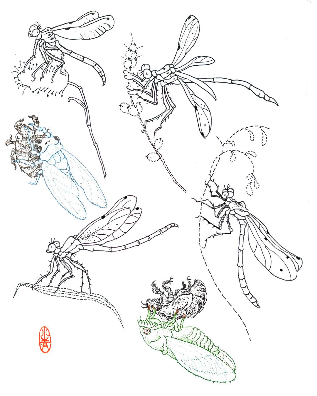 XIAOQING : Dragonfly Flash Sheet : $150-$350