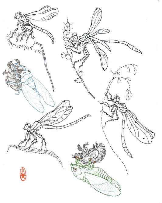 XIAOQING : Dragonfly Flash Sheet : $150-$350